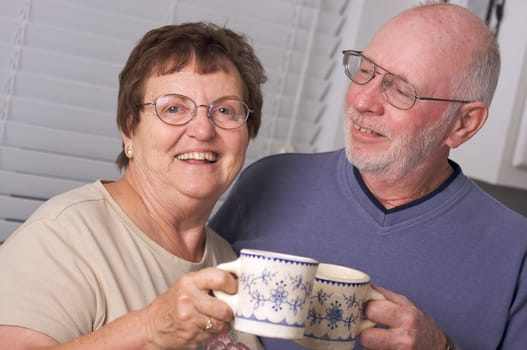 Happy Senior Adult Couple Portrait