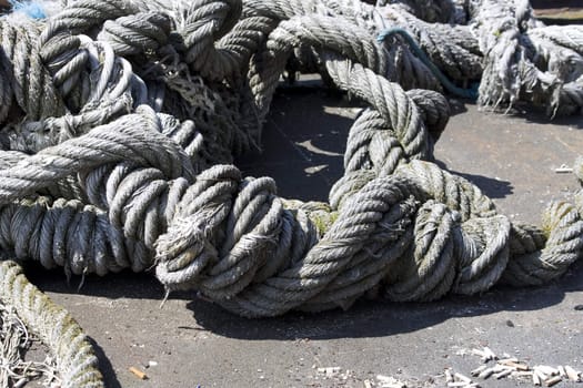 Detail of rope