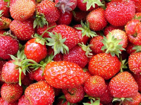 Background of the fresh red strawberries, summer shot