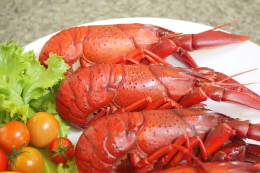 Crayfish Seafood Cooked Dish on White Plate