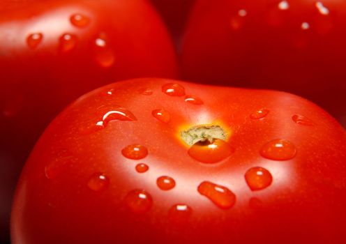 Red tomatoes are drops of water after washing.