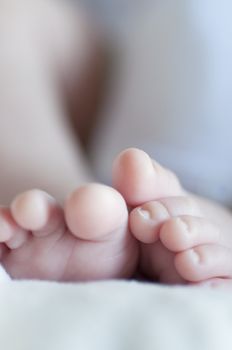 Picture of a new born foot. Baby picture