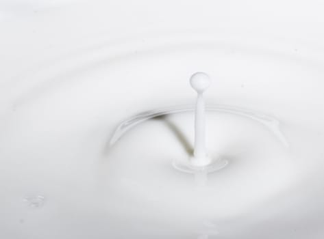 a drop splash of withe liquid or milk