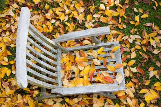 a wooden deckchair covered with leaves in autumn
