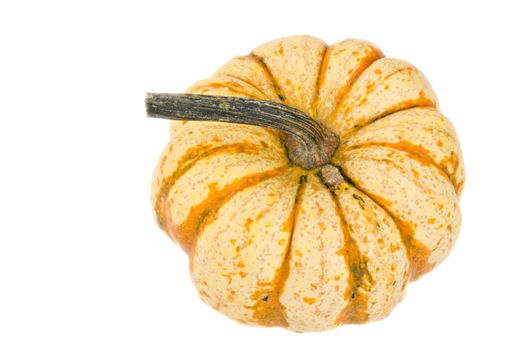 a pumpkin isolated on white background