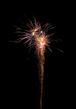 image of an explosion of a firework during a celebration