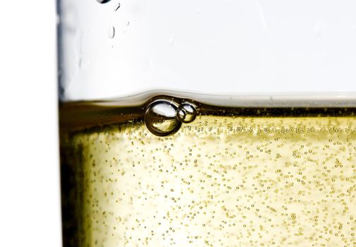 close up of an isolated glass cup of champagne