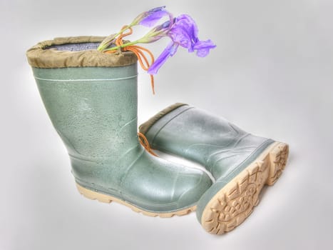 HDR shot of a pair of rubber boots with an iris in them.