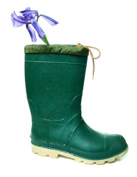 A single rubber boot with an iris flower in it, isolated against a white background.