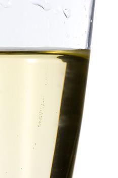 close up of an isolated glass cup of champagne