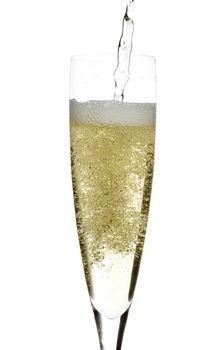 close up of an isolated glass cup of champagne
