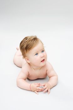 portrait little baby on the white background