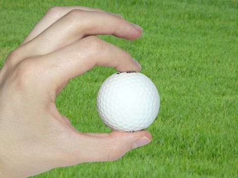 Human hand with golf ball in it