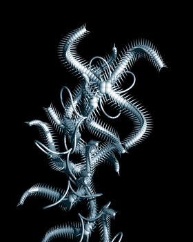 Abstract organic form on black background - 3d illustration
