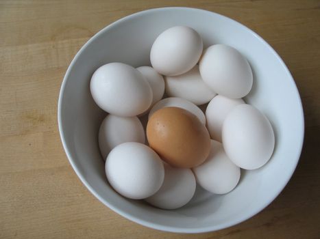 white and brown eggs