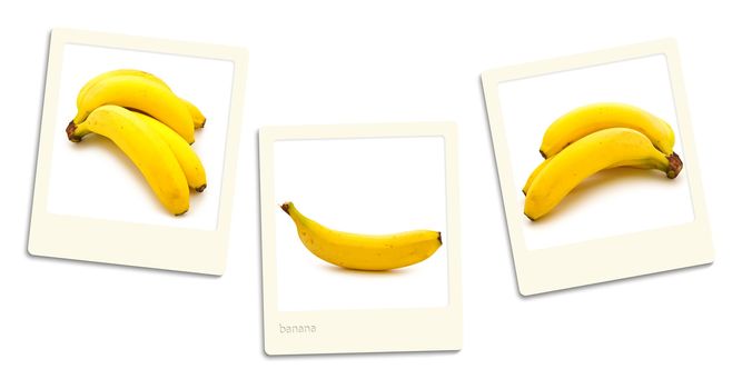 Thre old style photos of banana over white background