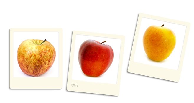 Thre old style photos of apple over white background