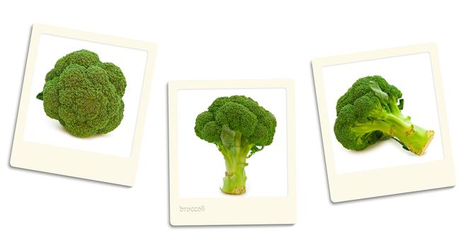 Thre old style photos of broccoli over white background