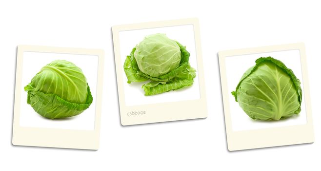 Thre old style photos of cabbage over white background