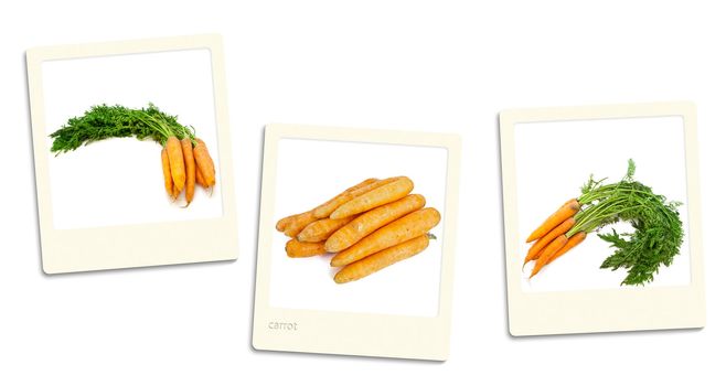Thre old style photos of carrot over white background