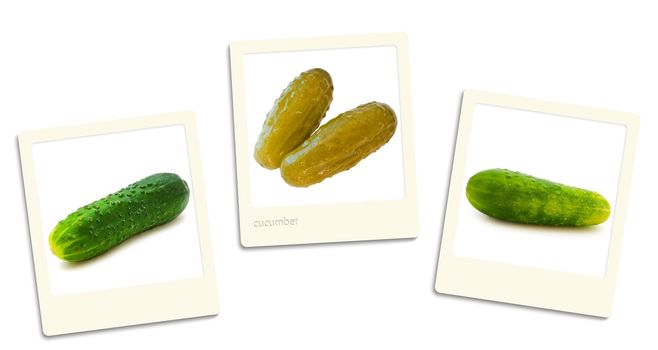 Thre old style photos of cucumbers over white background