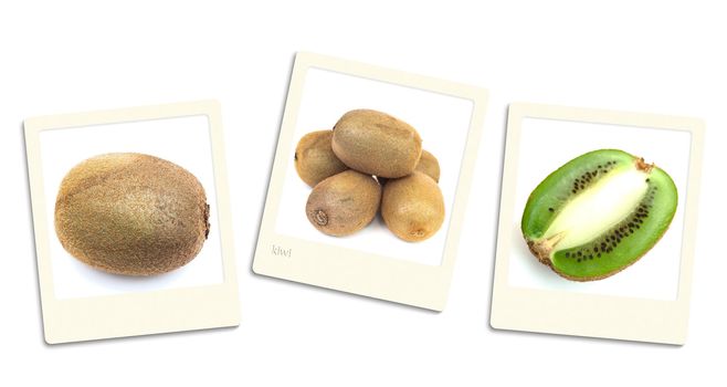 Thre old style photos of kiwi over white background