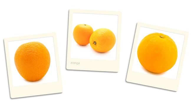 Thre old style photos of oranges over white background