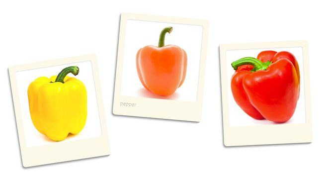 Thre old style photos of paprika over white background