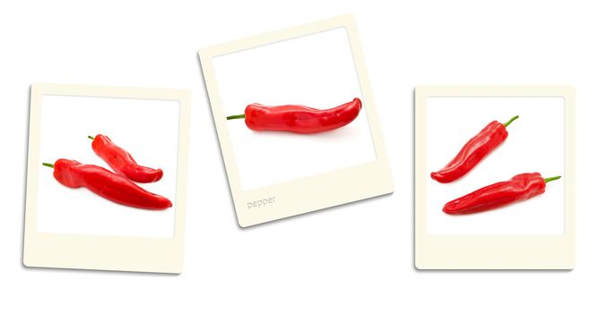 Thre old style photos of pepper over white background