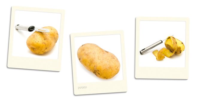 Thre old style photos of potato over white background