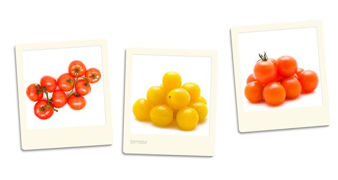 Thre old style photos of tomato over white background