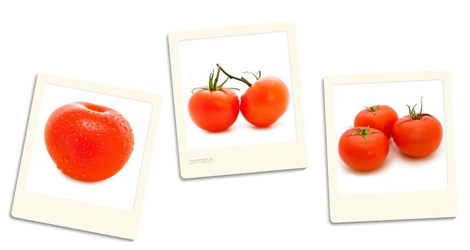 Thre old style photos of tomato over white background