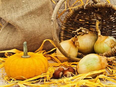 still life with pumpkin, basket, onion and nuts at beige 