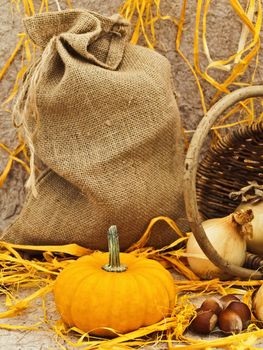 still life with pumpkin, basket, onion and nuts at beige 