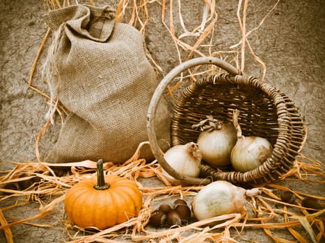 Photo of still life in dark tones with pumpkin, basket, onion and nuts 