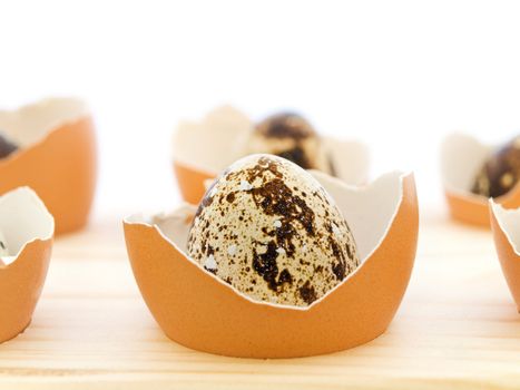 quail egg in the chicken egg shell