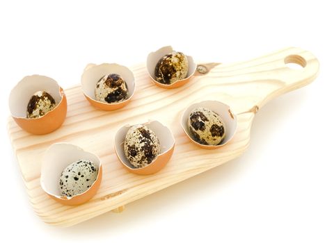 quail eggs in the chicken eggs shells