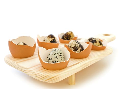 quail eggs in the chicken eggs shells