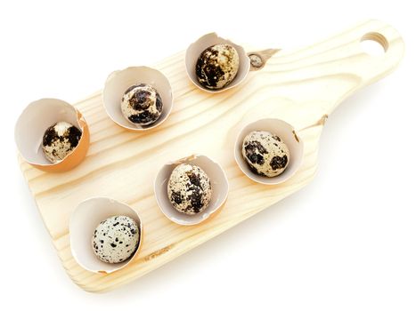 quail eggs in the chicken eggs shells