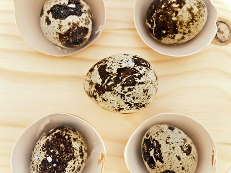 quail eggs in the chicken eggs shells