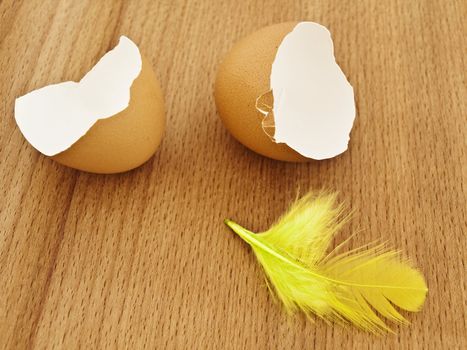 broken egg with yellow feather near at wooden background