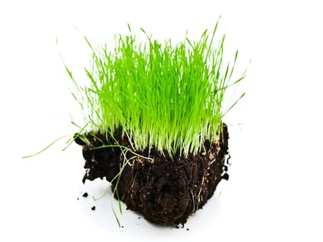 rich green grass island with black soil against white background