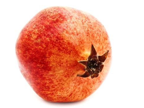 Single red pomegranate over the white background