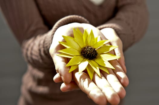 two women hands holding one yellow flower