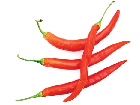 red spicy peppers over white background with copyspace 