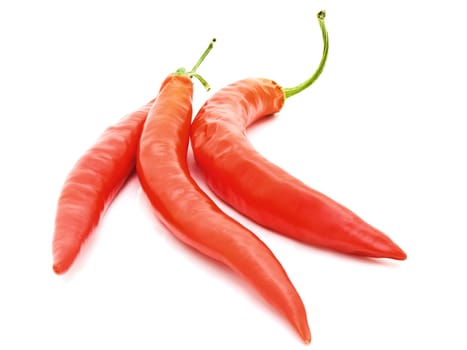  three red spicy peppers over white background with copyspace 