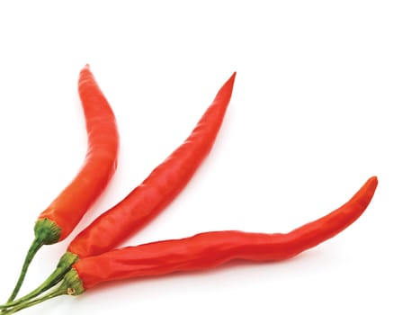  three red spicy peppers over white background with copyspace 