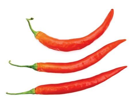  three red spicy peppers over white background with copyspace 
