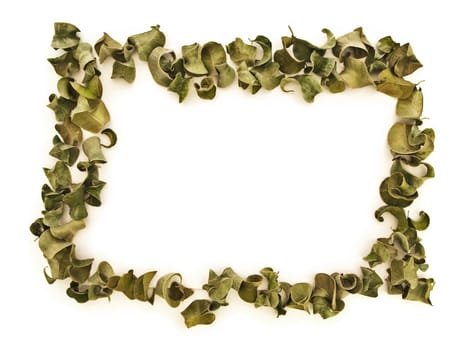 dry leaves border with copyspace for your text against white