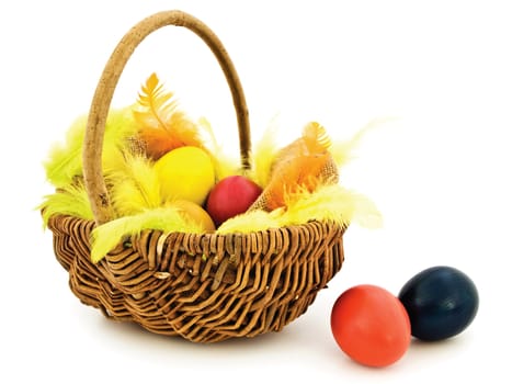 multicolored easter eggs and feathers in the basket with copyspace for your text